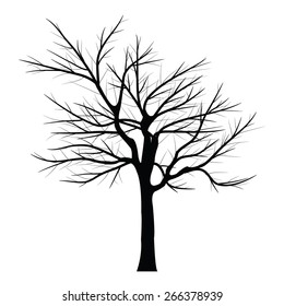 Trees with dead branch