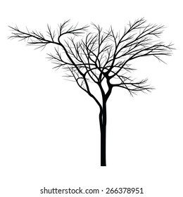 Trees with dead branch