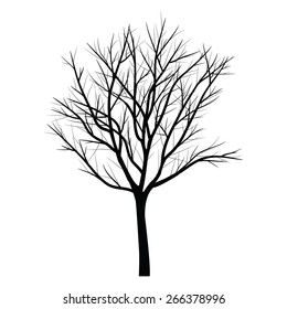 Trees with dead branch