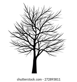 Trees with dead branch