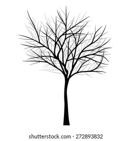 Trees with dead branch