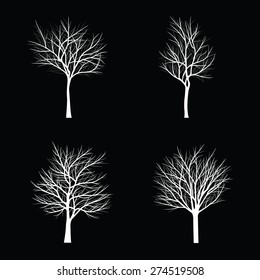 Trees with dead branch