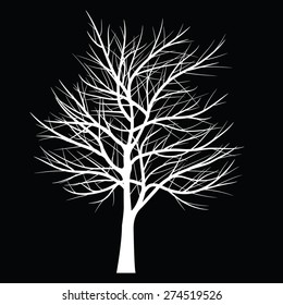 Trees with dead branch
