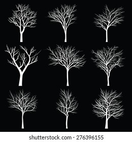Trees with dead branch