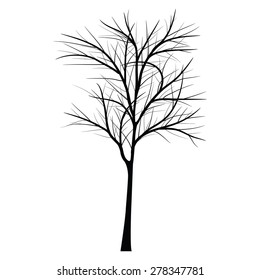 Trees with dead branch