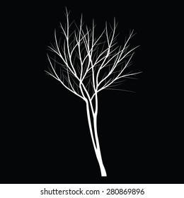 Trees with dead branch