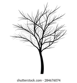 Trees with dead branch