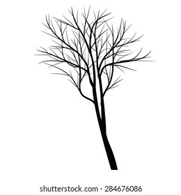 Trees with dead branch