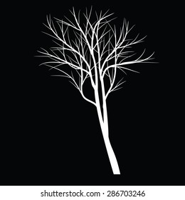 Trees with dead branch
