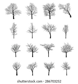 Trees with dead branch