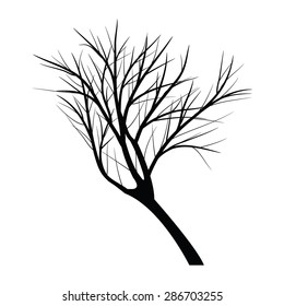 Trees with dead branch