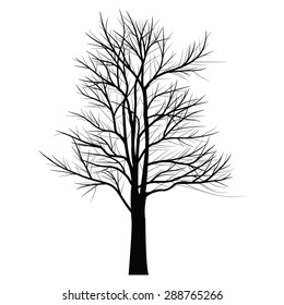 Trees with dead branch