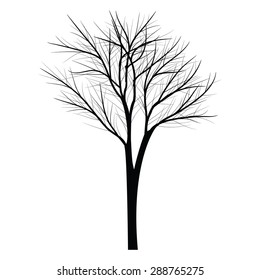 Trees with dead branch