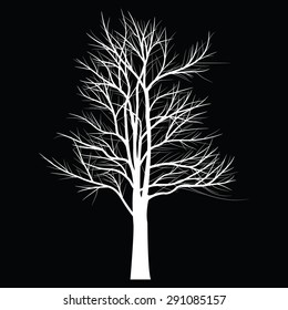 Trees with dead branch