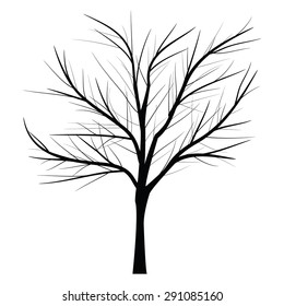 Trees with dead branch