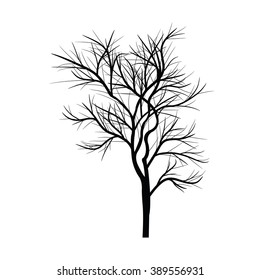 Trees with dead branches