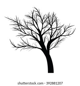 Trees with dead branches