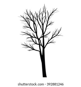 Trees with dead branches