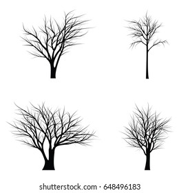 Trees with dead branches