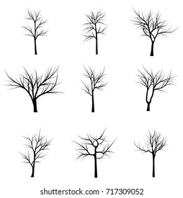 Trees with dead branches