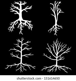 Trees with dead branches and roots 
