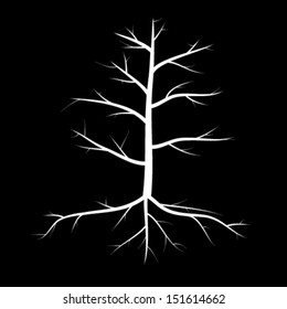 Trees with dead branches and roots
