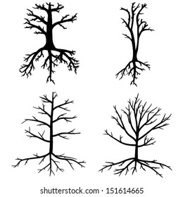 Trees with dead branches and roots