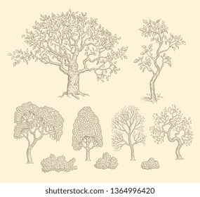 Trees. Design set. Hand drawn engraving. Editable vector vintage illustration. Isolated on light background. 8 EPS
