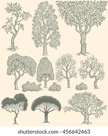 Trees. Design set. Hand drawn engraving. Vector vintage illustration. Isolated on color background. 8 EPS