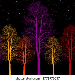 trees of different colors. Trees without leaves. Leafless tree trunks with branches without leaves. Trees on a black background. Large plants for decoration. Many branches without leaves.