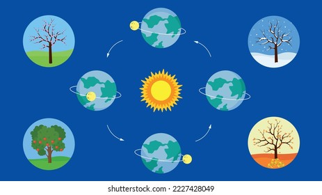 Trees at different times of the year depending on the position of the Earth relative to the Sun