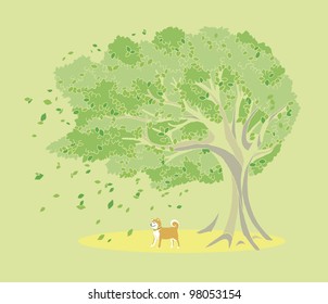 Trees and dog