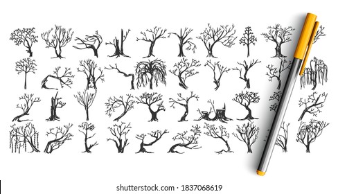 Trees doodle set. Collection of pen pencil ink hand drawn sketche templates patterns of frozen forest plants without leaves. Autumn and cold winter season coming symbols illustration.