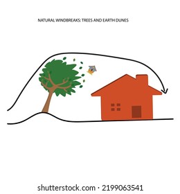 Árboles y dunas de tierra que actúan como paravientos naturales