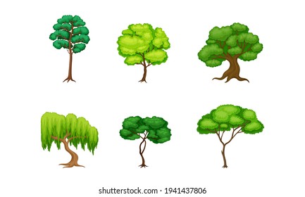 Trees with Exuberant Green Foliage and Trunk Vector Set