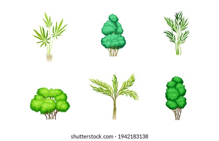 Trees with Exuberant Green Foliage and Trunk Vector Set