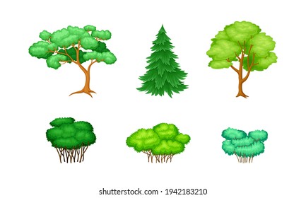 Trees with Exuberant Green Foliage and Trunk Vector Set