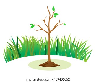 trees fall out image