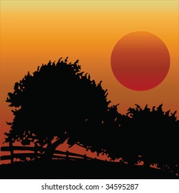 Trees and fencing silhouetted against a dawn or dusk sky
