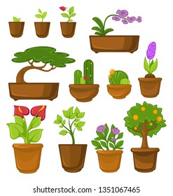 Trees and flowers indoor plants cactus and bonsai calla and rose vector sprouts orchid and iris orange in pots growing and cultivation natural decor greenery interior decoration windowsill plantation