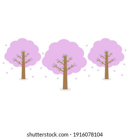 Trees with flowers that bloom in spring and summer on white background. (seasonal, blooming, blossom, cherry, pink, sakura, outdoors, park, garden)