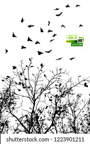 Trees with flying birds