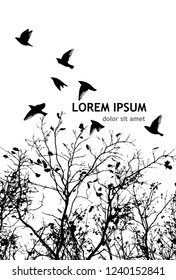 Trees with flying birds. Monochrome Silhouette of tree branches 