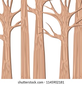 trees forest autumn without leafs scenes