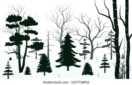 Trees forest background and snow for winter season concept. Hand drawn isolated illustrations.
