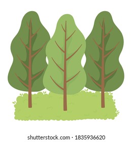 trees forest grass nature isolated design white background vector illustration