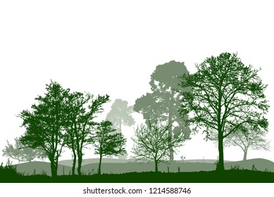 Trees in the forest. landscape. (Vector illustration).Eps10