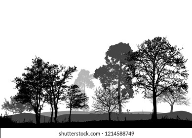 Trees in the forest. landscape. (Vector illustration).Eps10