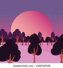 trees forest night stars night natural landscape