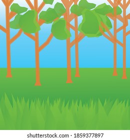 trees of forest on blue green background